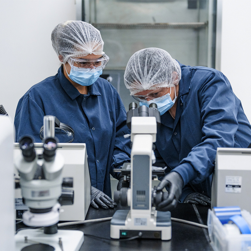 Employee looking into a microscope. 