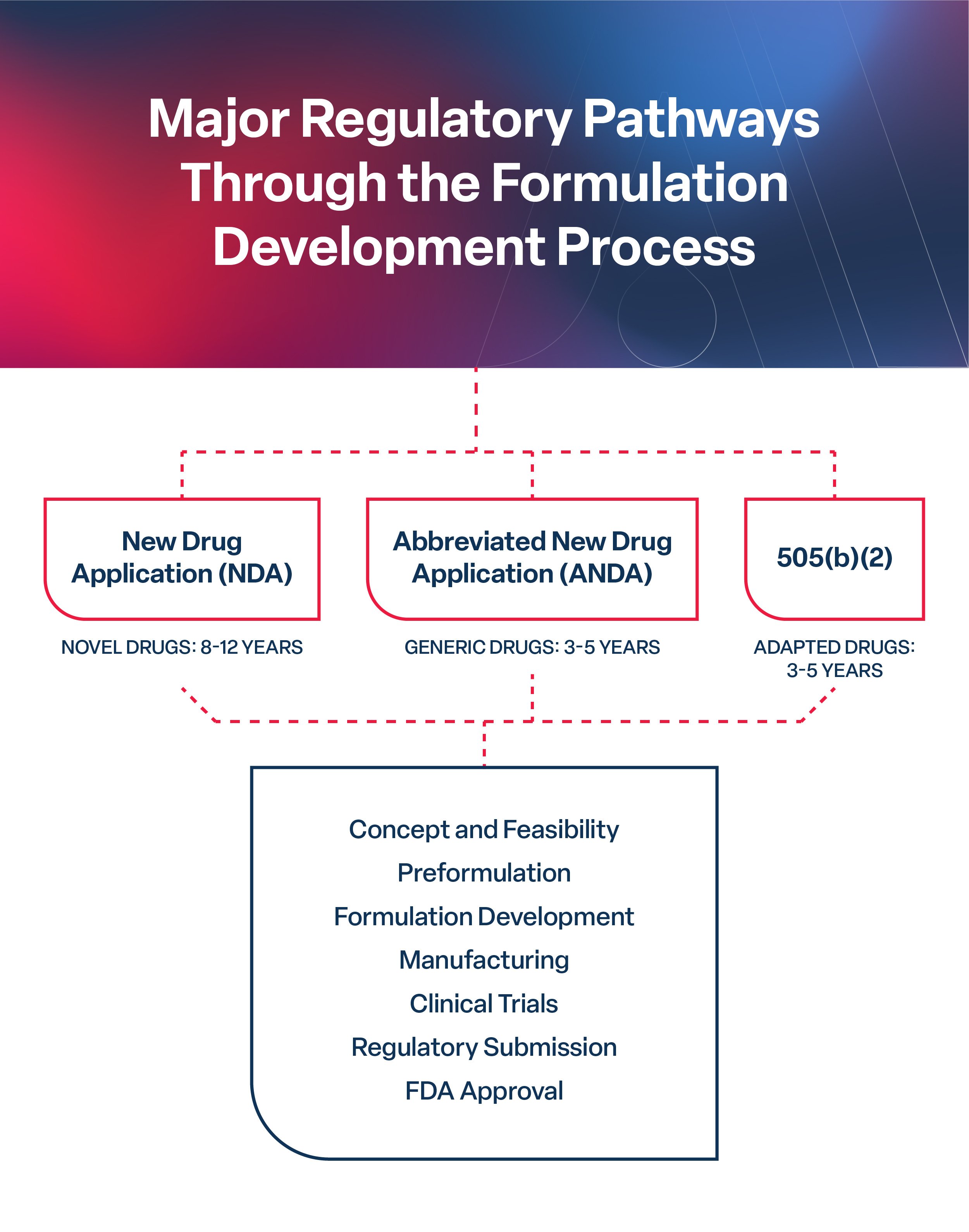 NDA, ANDA, and 505(b)(2) regulatory pathways.